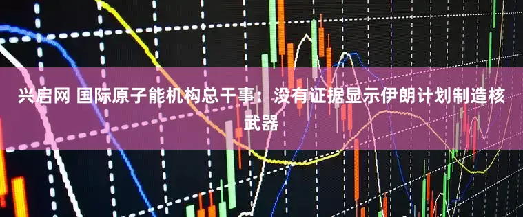 兴启网 国际原子能机构总干事：没有证据显示伊朗计划制造核武器