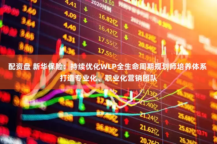 配资盘 新华保险：持续优化WLP全生命周期规划师培养体系 打造专业化、职业化营销团队