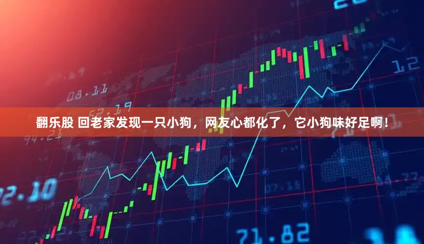 翻乐股 回老家发现一只小狗，网友心都化了，它小狗味好足啊！