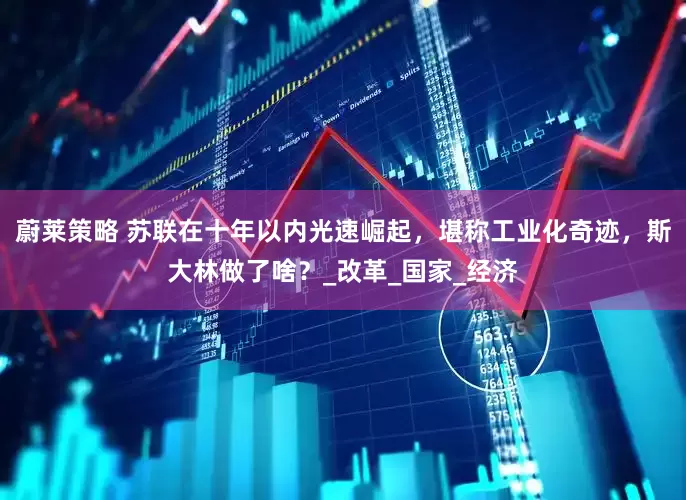 蔚莱策略 苏联在十年以内光速崛起，堪称工业化奇迹，斯大林做了啥？_改革_国家_经济