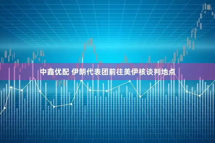 中鑫优配 伊朗代表团前往美伊核谈判地点